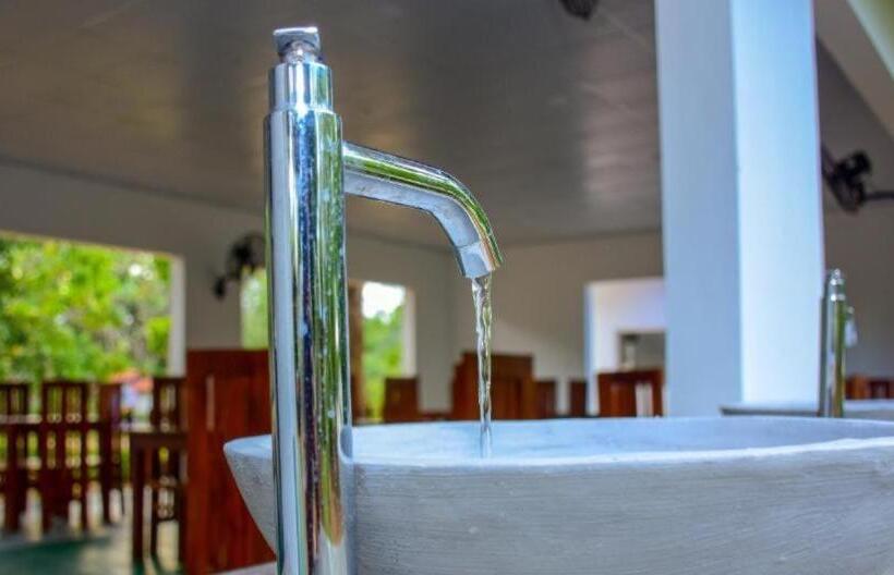 Отель The Royal Garden