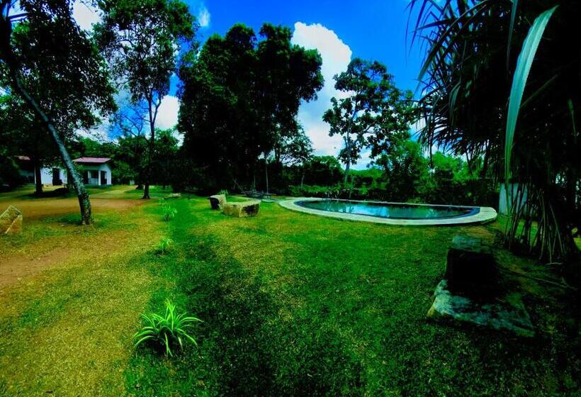 Отель The Royal Garden