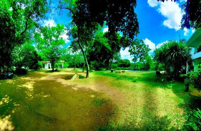 Отель The Royal Garden