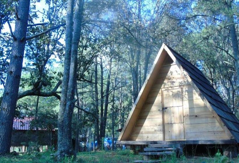 酒店 Campamento Plan De Los álamos