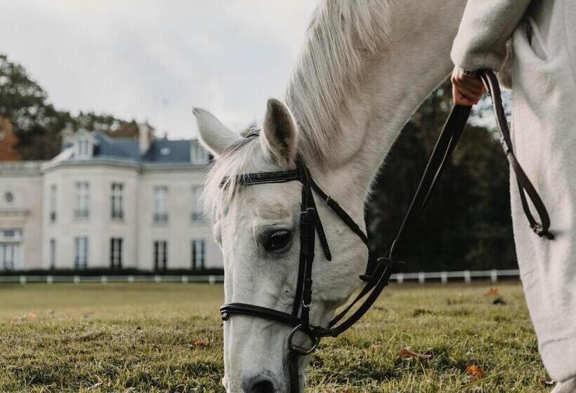 호텔 Hôtel Demeures De Campagne Chateau De Maffliers   Paris Val D Oise