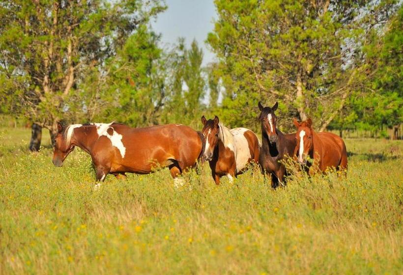 ホテル Los Vagones De Areco