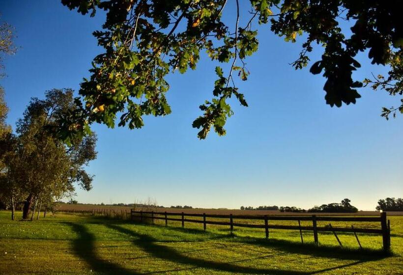 ホテル Los Vagones De Areco