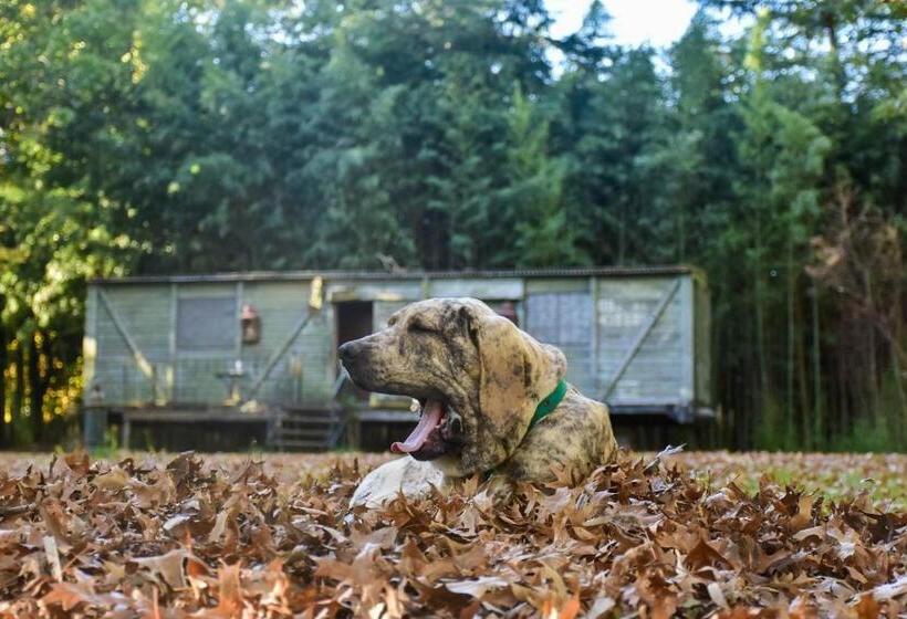 酒店 Los Vagones De Areco