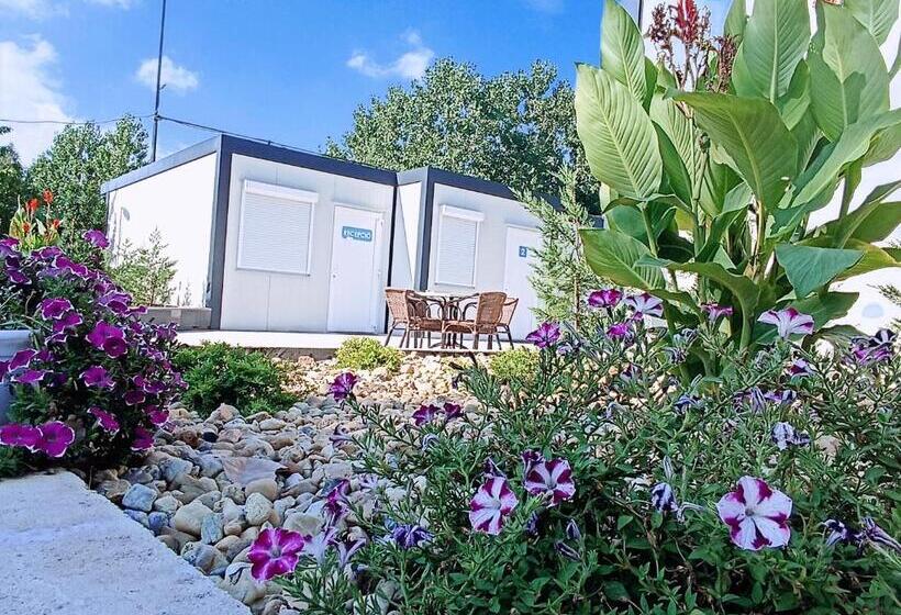 호텔 Szusz Szállás