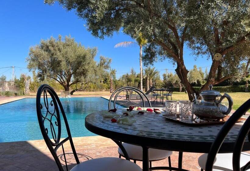 پانسیون Dar Fatima Tamazouzt