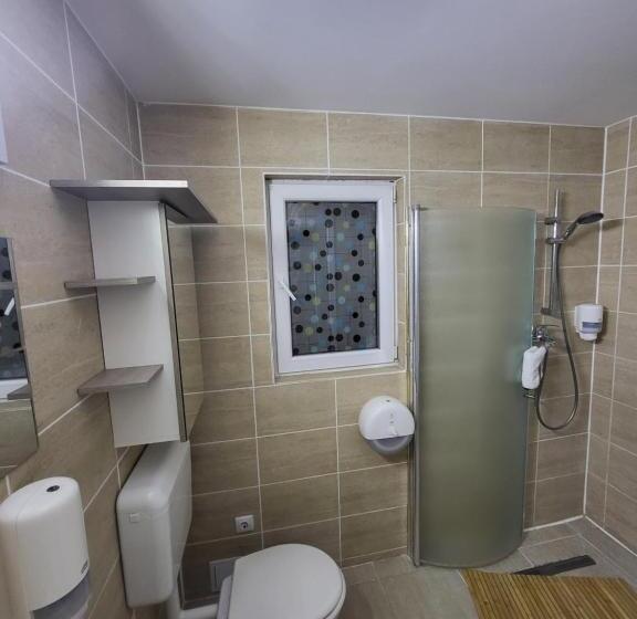 Пансион Elis Tranzit