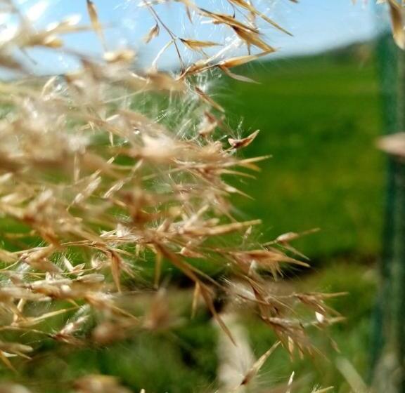 膳宿费 Fioccohause