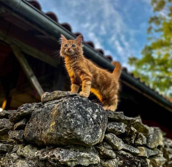 膳宿费 La Cabane De César Les Eyzies De Tayac