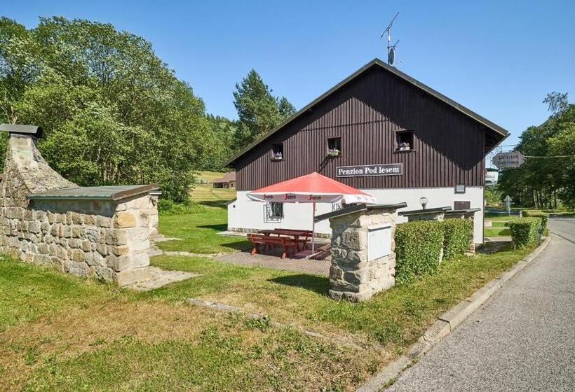 بنسيون Penzion Pod Lesem