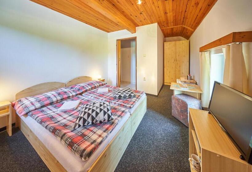 بنسيون Penzion Pod Lesem