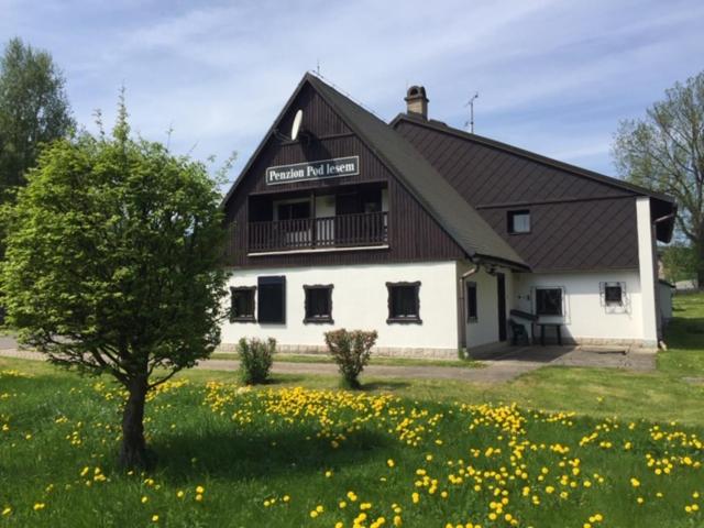 بنسيون Penzion Pod Lesem