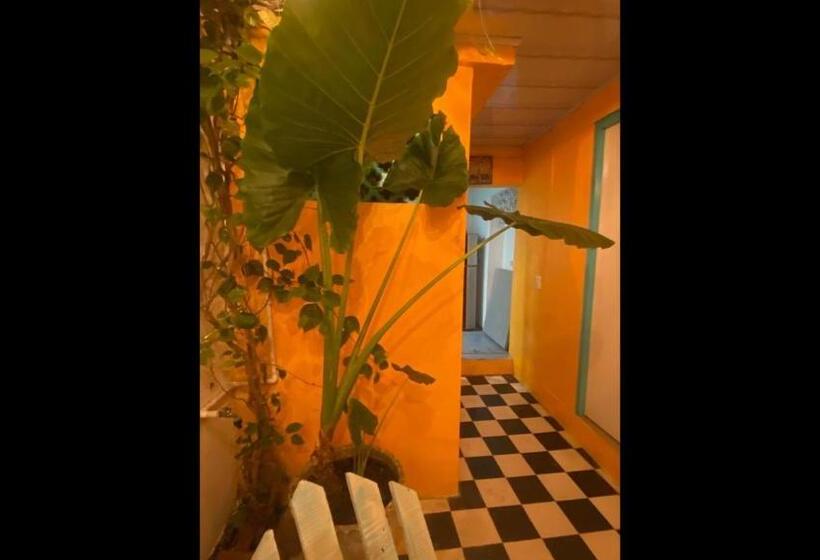 Pensionat Room In Lodge   Cr 2 Room In Getsemani With Breakfast Wifi And Air Conditioning