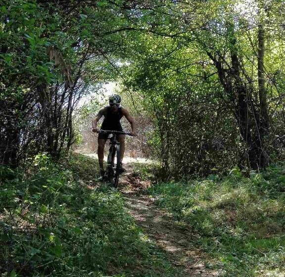 پانسیون Vikendica Andjelka 1 Zlatibor