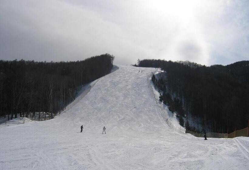 צימר Hirotani Pension