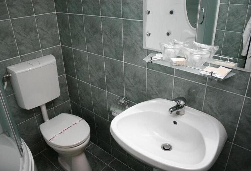 호텔 Casa De Piatra