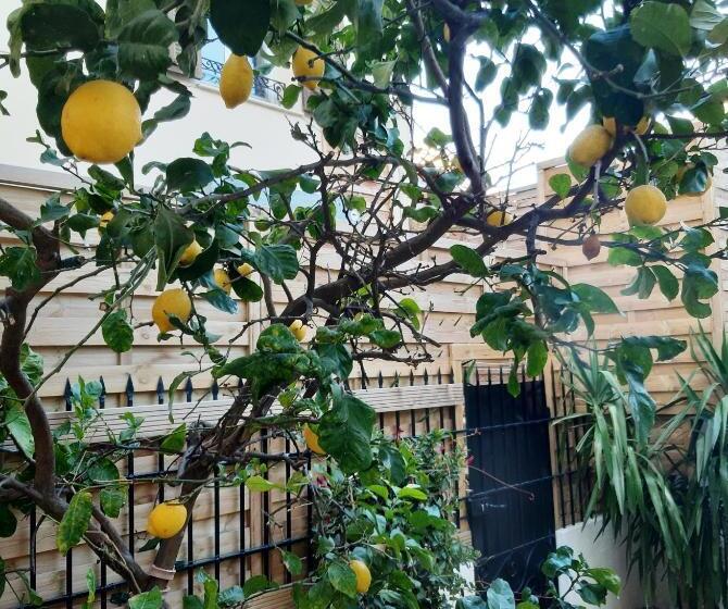 فندق صغير Glamorgan