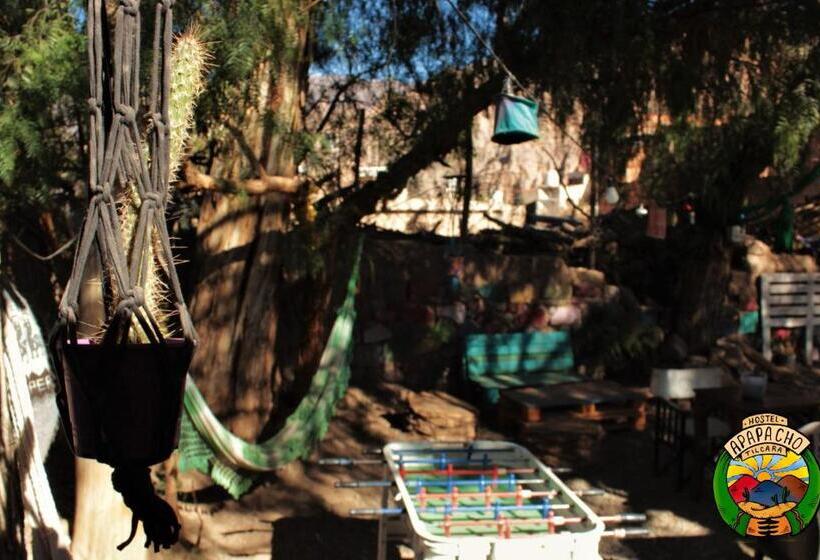 تختخواب و صبحانه Apapacho Hostel