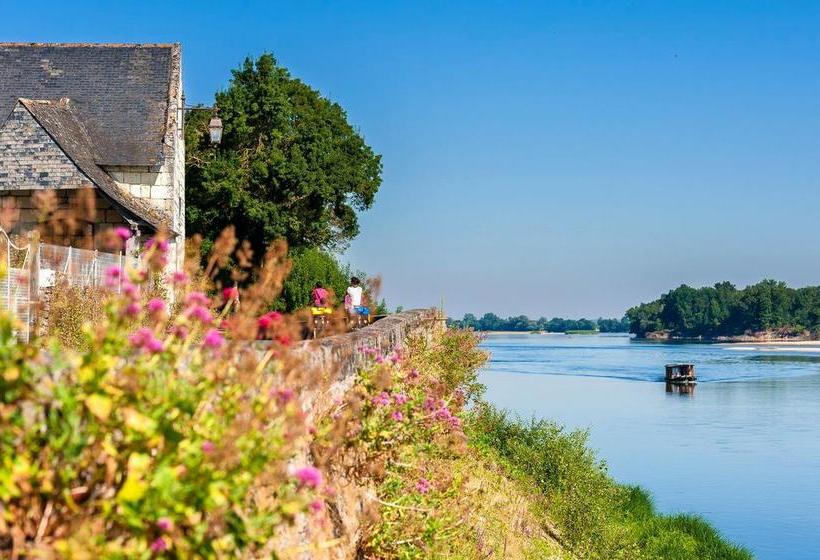 ベッドアンドブレックファースト Gite Les Orchidées Du Vaudelnay