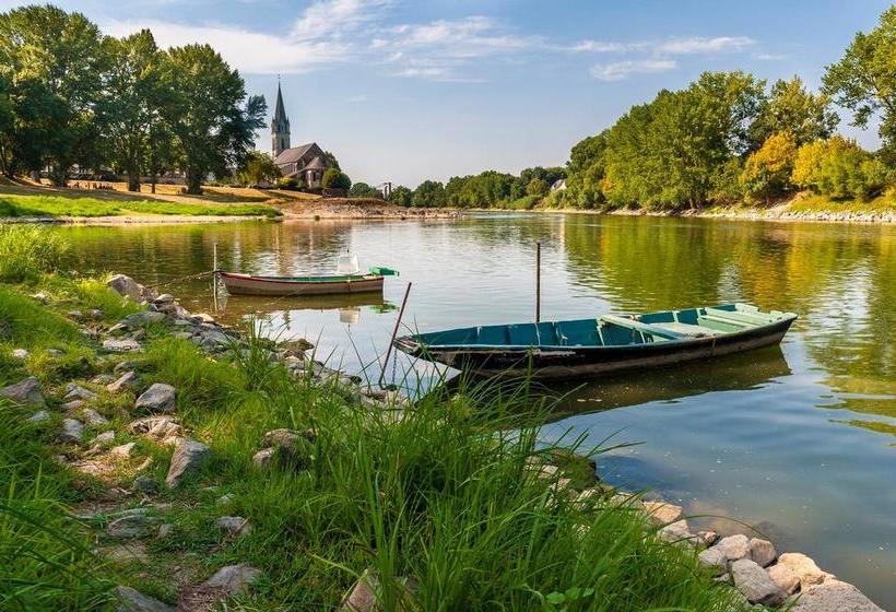 ベッドアンドブレックファースト Gite Les Orchidées Du Vaudelnay