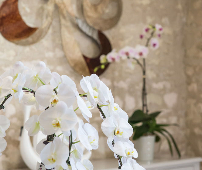 ベッドアンドブレックファースト Gite Les Orchidées Du Vaudelnay