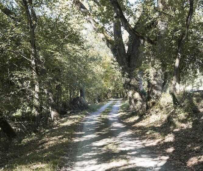 ベッドアンドブレックファースト Chrysalide Saint Martin