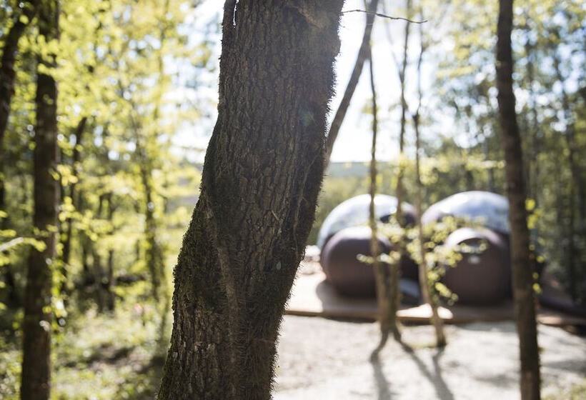 ベッドアンドブレックファースト Chrysalide Saint Martin