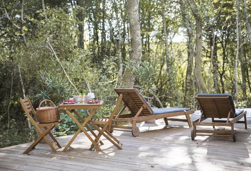 ベッドアンドブレックファースト Chrysalide Saint Martin