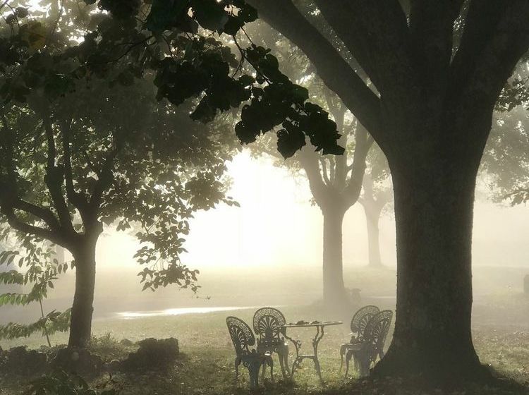 住宿加早餐  Domaine De Lascaux