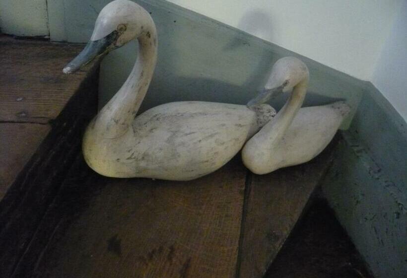 Bed and Breakfast L Arbre D Ange