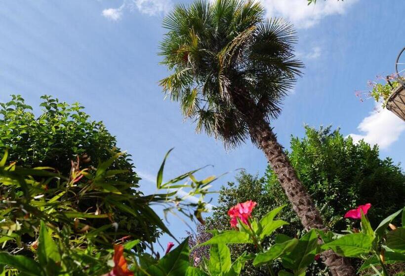 مبيت وإفطار L Arbre D Ange