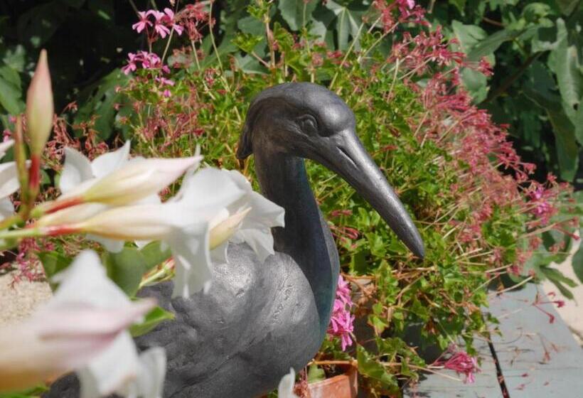 Bed and Breakfast L Arbre D Ange