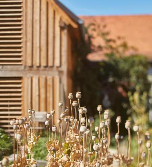 مبيت وإفطار L Ours