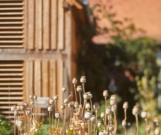 مبيت وإفطار L Ours