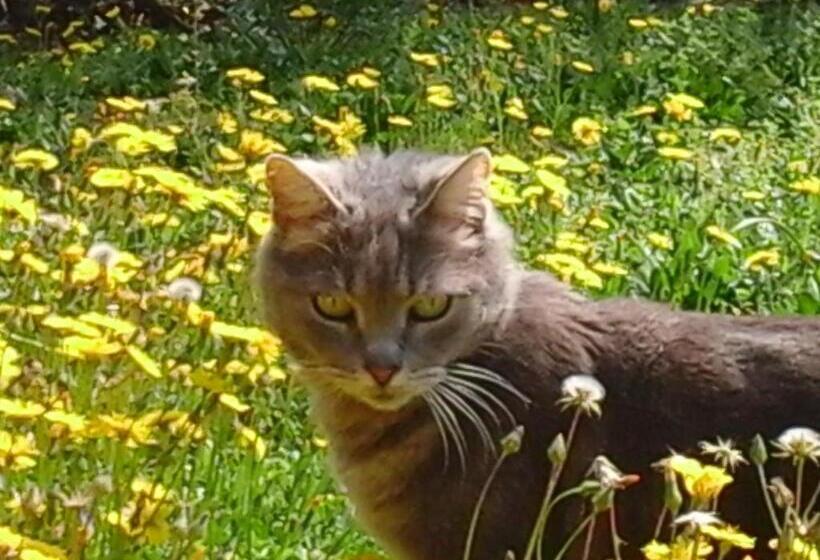 צימר La Maison De Campagne