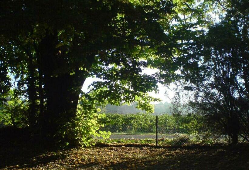 مبيت وإفطار Le Bargidou