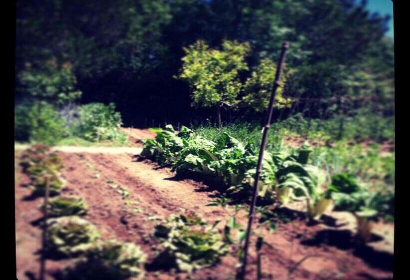 مبيت وإفطار Le Bargidou