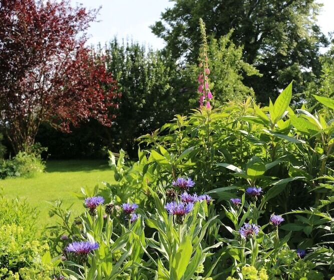 مبيت وإفطار Le Bourgis