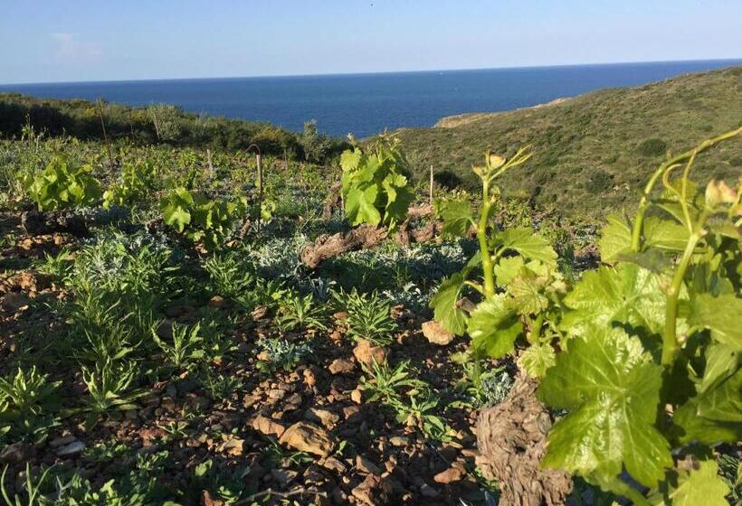 ベッドアンドブレックファースト Le Clos Saint André