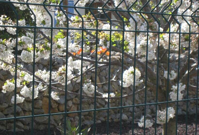 민박 Les S Sens Du Sud