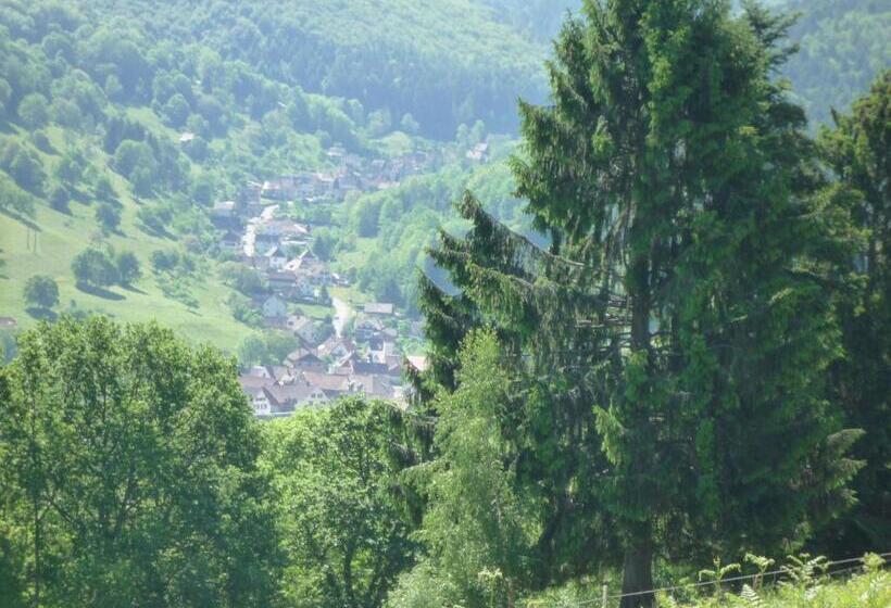 Bed and Breakfast Maison D Hôtes Du Landersbach