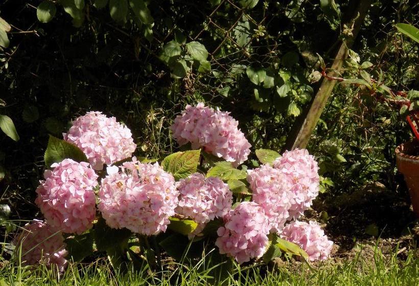 Bed and Breakfast No 5 Plaisance Chambre D Hôtes