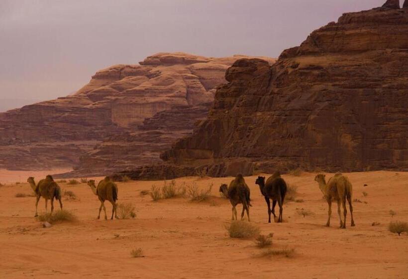 تختخواب و صبحانه Sky Light Wadi Rum