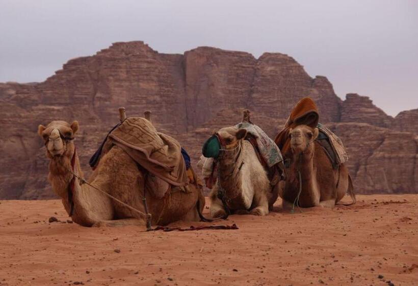 تختخواب و صبحانه Sky Light Wadi Rum