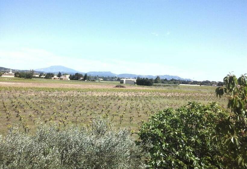 住宿加早餐  Vents D Anges