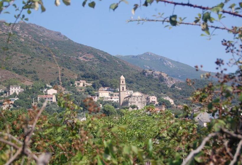 Bed and Breakfast Villa Aghjanella