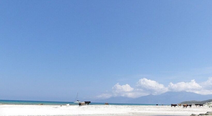 Bed and Breakfast Villa Aghjanella