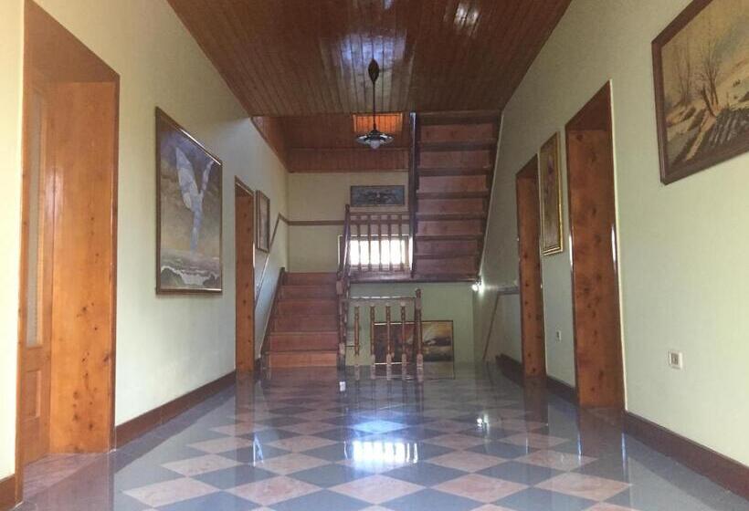 Hostel Grande House