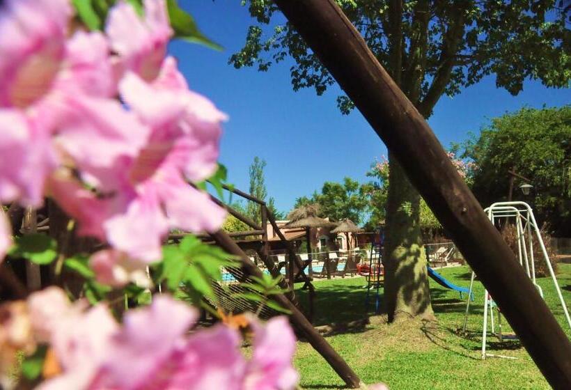 فندق Cabaãƒæ’ã‚â±as Del Ysyry