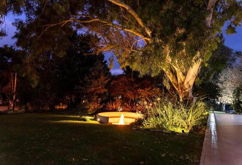 O2 Hotel Valeria Del Mar